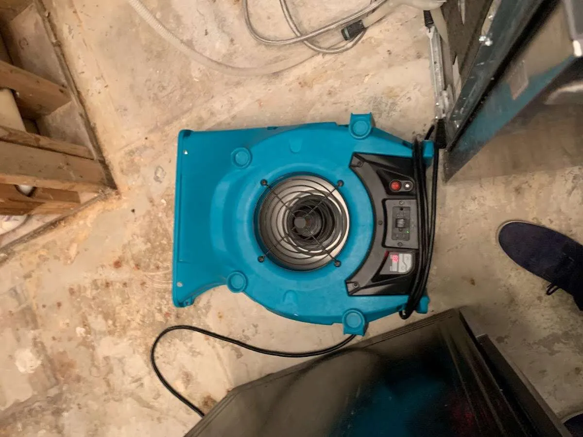 Air mover drying equipment for Mold Remediation & Removal in Buckhall